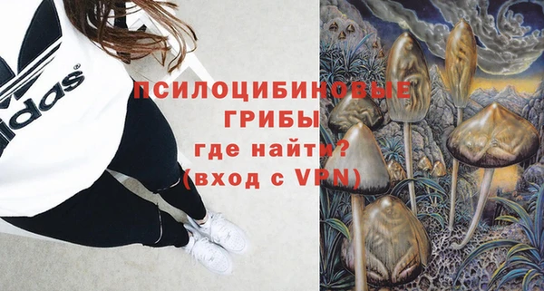 ешки Алексеевка