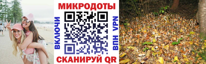 сайты даркнета клад  Нижний Ломов  Галлюциногенные грибы ЛСД 